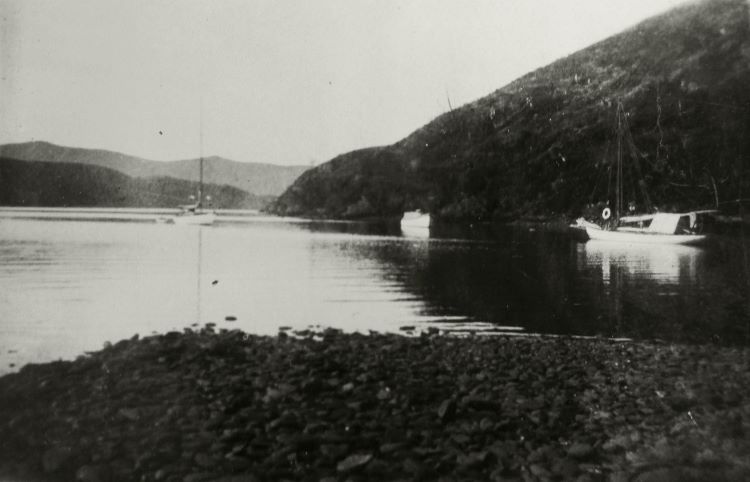 708_10-Yachts-Viola-and-Mana-Cockle-Cove-Queen-Charlotte-Sound