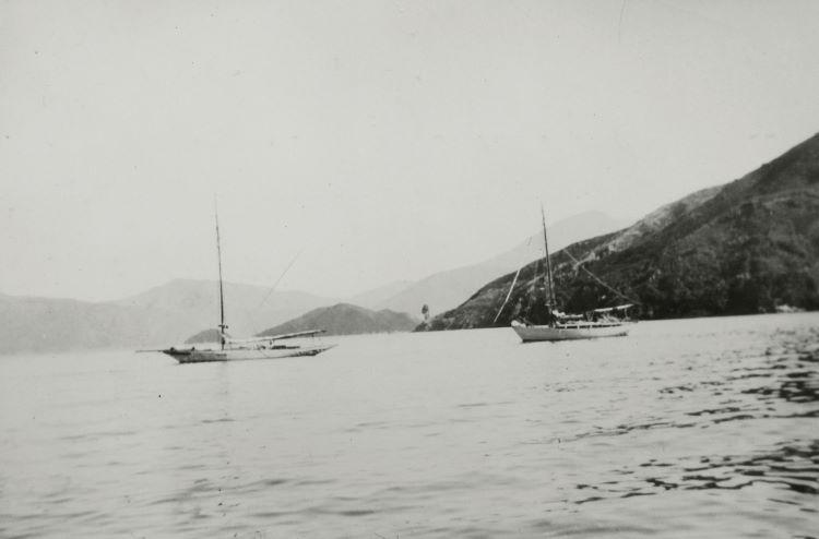 708_17-Yachts-Rona-and-Wylo-Powerful-Bay-Queen-Charlotte-Sound