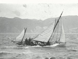 Rogue rigged as a yawl in Wellington